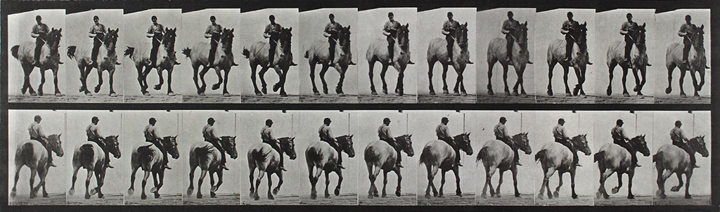 EADWARD MUYBRIDGE (1830-1904) A selection of 3 plates from Animal Locomotion.